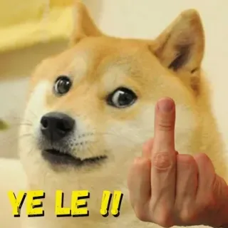 🖕 YE LE !!! doge, pies, środkowy palec, obraźliwy, mem, niegrzeczny telegram sticker