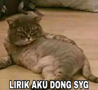 😎 LIRIK AKU DONG SYG telegram sticker