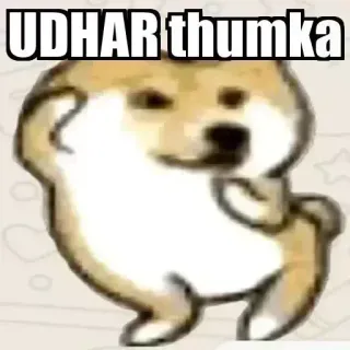 😂 UDHAR thumka doge, chien, mème, danse, drôle whatsapp sticker