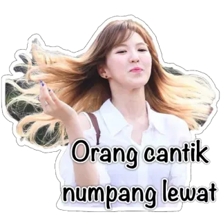 😎 Orang cantik numpang lewat kpop, 女孩, 美丽, 女人, 引言, 印尼语, 漂亮 telegram sticker