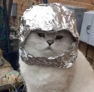 👽 cat, foil hat, tin foil hat, humor, conspiracy theory, animal telegram sticker