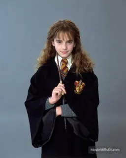 🦋 Hermione Granger Harry Potter czarodziej, magia, Hogwart, szkoła, student whatsapp sticker