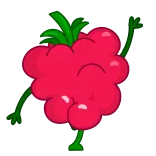 Raspberry - @TgEmojis telegram emojis 🖐