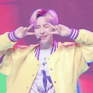 😣 k-pop, kpop, idol, pace, gilet giallo telegram sticker