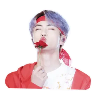 🌹 persona, kpop, rosso, fiore, rosa, coreano, asiatico telegram sticker