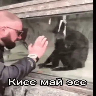🥵 Кисс май эсс telegram sticker