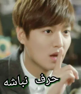Lovely Lee Min Ho_Mohi💋 telegram stickers
