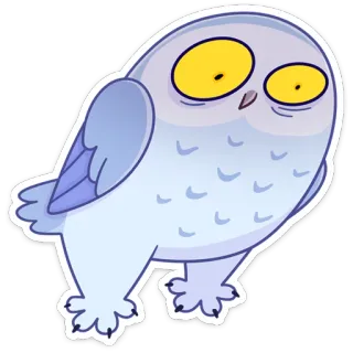 😳 búho, dibujo animado, animal, pájaro, pegatina, lindo whatsapp sticker