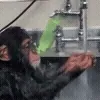 🚿