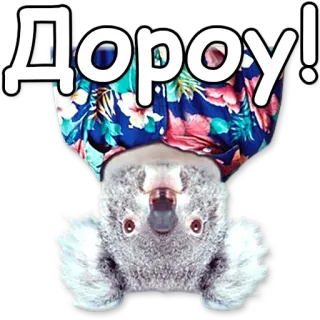 👋 Дорогу! koala, animal, à l'envers, texte russe telegram sticker