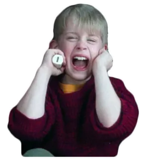 😂 Kevin McCallister Home Alone asustado, impactado, gritando, frustrado, solo en casa, macaulay culkin, angustiado whatsapp sticker