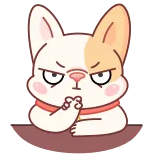 😒 gato, enojado, lindo, planeando, animal, dibujos animados whatsapp sticker