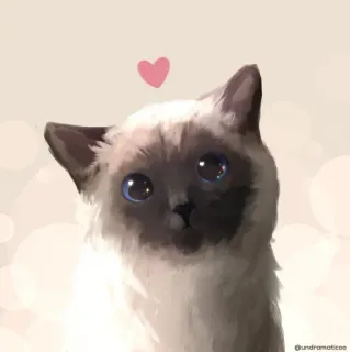 ❤️ chat, chat siamois, animal, mignon, animal de compagnie, cœur whatsapp sticker