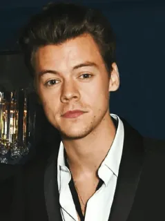 💵 Harry Styles harry styles, chanteur, one direction, célébrité, pop star, musicien telegram sticker