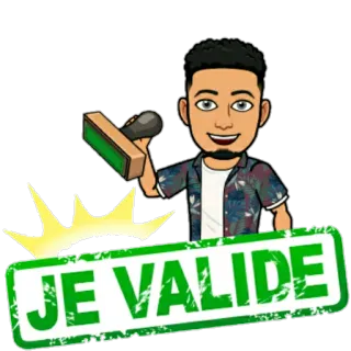 ✅ JE VALIDE selo, aprovação, Bitmoji, validar, acordo, francês whatsapp sticker