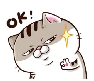👌 ok! 고양이, OK, 승인, 귀여운, 스티커, 동물 telegram sticker