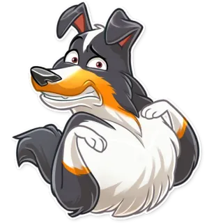 😬 สุนัข, การ์ตูน, สัตว์, น่ารัก, บอร์เดอร์ คอลลี่ telegram sticker