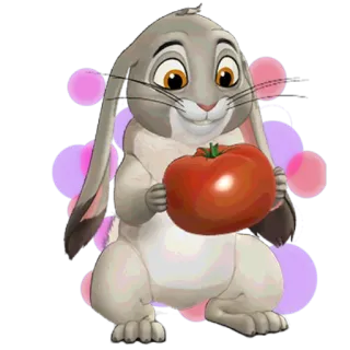 🍅 lapin, animal, dessin animé, tomate, mignon telegram sticker