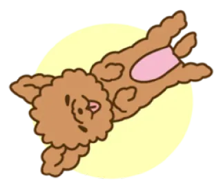 😛 cão, poodle, desenho animado, animal, animal de estimação, fofo, engraçado whatsapp sticker