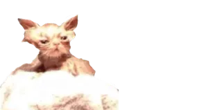 🤕 cat, funny, animal, sphinx cat telegram sticker