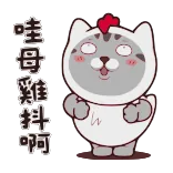 🤠 哇母雞斗啊 chat, poulet, drôle, animal, mignon, emoji, sticker whatsapp sticker