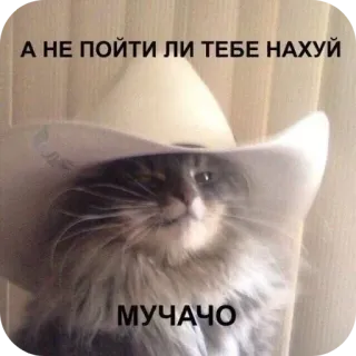 Больше стиков тут: @stikery4 whatsapp stickers