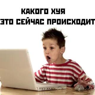 😱 КАКОГО ХУЯ
ЭТО СЕЙЧАС ПРОИСХОДИТ child, computer, laptop, shocked, offensive, russian telegram sticker