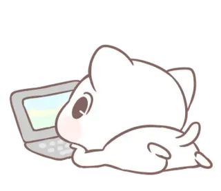 ⭐ 猫, 电脑, 可爱, 动物, 笔记本电脑 whatsapp sticker