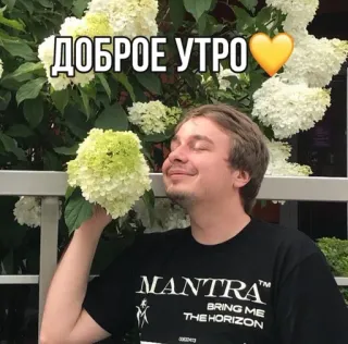 🌟 ДОБРОЕ УТРО อรุณสวัสดิ์, ดอกไม้, ผู้ชาย, ทักทาย, รัสเซีย telegram sticker