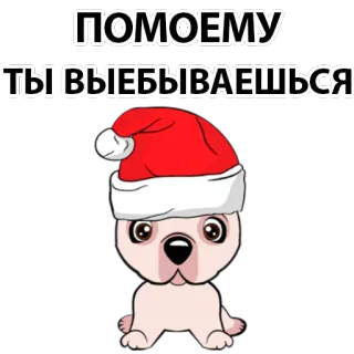 😟 ПОМОЕМУ ТЫ ВЫЕБЫВАЕШЬСЯ dog, christmas, hat, insult, text, russian telegram sticker