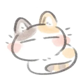 🌷 chat, animal, dormir, mignon, calico, animal de compagnie, dessin animé whatsapp sticker