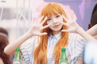 🥕 Lisa persona, celebrità, kpop, donna, capelli arancioni telegram sticker