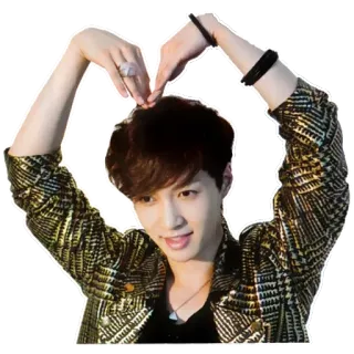❤️ Lay Zhang, celebrità, cuore, mani, cantante, attore telegram sticker