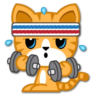 💪 Katze, Fitness, Übung, Hanteln, Cartoon, Tier whatsapp sticker