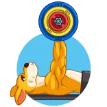 🏋️♂️ canguro, halterofilia, animal, ejercicio, fitness, dibujos animados telegram sticker