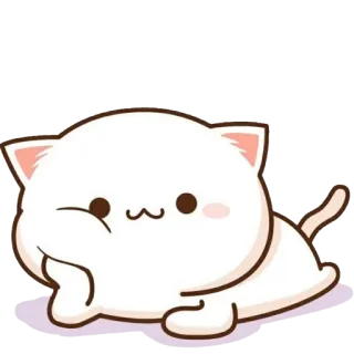 😏 cat, cute, animal, white, kawaii, sticker whatsapp sticker