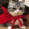 😈