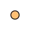 🟠