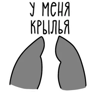 🤷‍♀️ У МЕНЯ КРЫЛЬЯ skrzydła, latanie, rosyjski, tekst telegram sticker