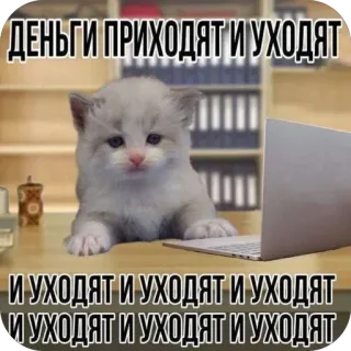 🫥 ДЕНЬГИ ПРИХОДЯТ И УХОДЯТ И УХОДЯТ И УХОДЯТ И УХОДЯТ И УХОДЯТ И УХОДЯТ И УХОДЯТ cat, money, laptop, meme, office, work, funny, cute telegram sticker