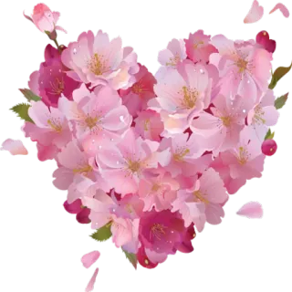 💖 сердце, цветы, розовый, цветочный, цвет сакуры, любовь telegram sticker