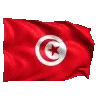 🇹🇳