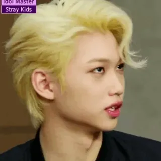 ➖ Felix Stray Kids Idol Master
Stray Kids kpop, idol, musica, cantante, coreano, celebrità, stray kids, felix telegram sticker
