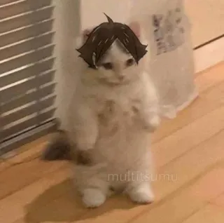 😠 multitsumu gato, meme, animal, em pé, fofo telegram sticker