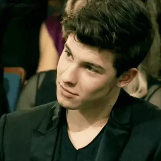 😶 Shawn Mendes singer, celebrity, musician, pop star, shawn mendes telegram sticker