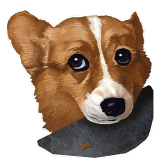 🐶 chó, corgi, động vật, thú cưng, dễ thương, chó con telegram sticker