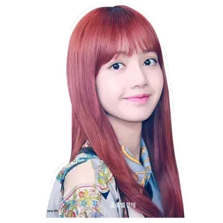 ✨ Lisa kpop, música, cantante, ídolo, celebridad, mujer, retrato, pelo rojo telegram sticker