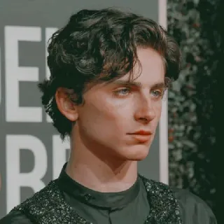 🦇 Timothée Chalamet actor, celebridad, retrato telegram sticker