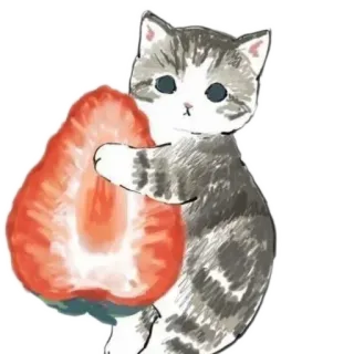 🐱 cat, strawberry, cute, animal, fruit, kitten telegram sticker