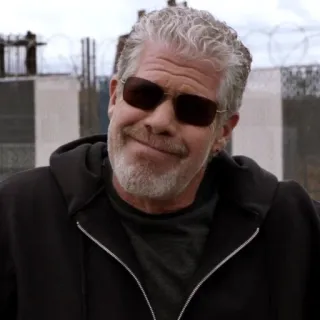 😊 Ron Perlman Ron Perlman, actor, man, sunglasses, portrait telegram sticker